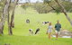 Away At Ancell - thumb 1