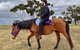 Avondale Heights By Tiny Away - thumb 3