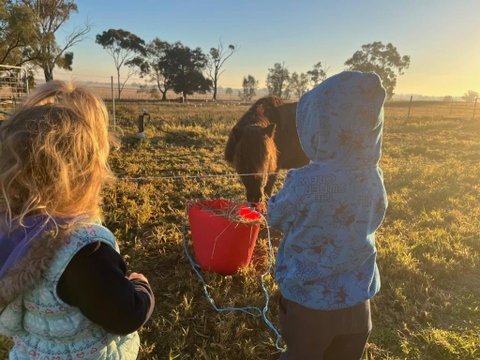 Avondale Heights By Tiny Away - Kalgoorlie Accommodation 4