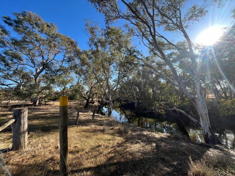 Avondale Heights By Tiny Away - Kalgoorlie Accommodation 0