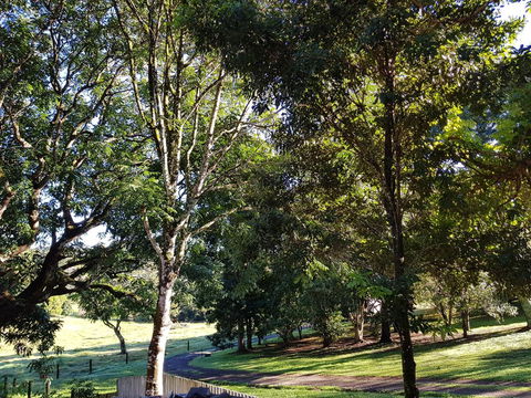 Bee-Haven Cottage - Kalgoorlie Accommodation 7