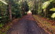 Daintree Manor B&B - thumb 12