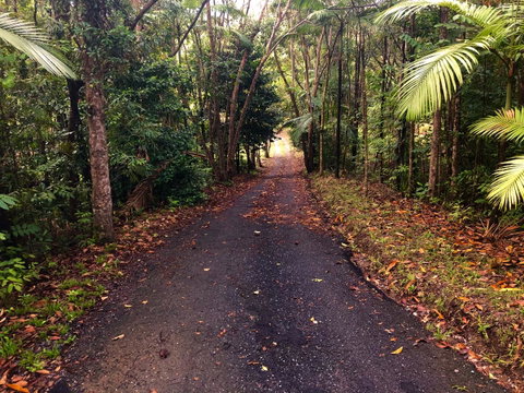 Daintree Manor B&B - Kalgoorlie Accommodation 12