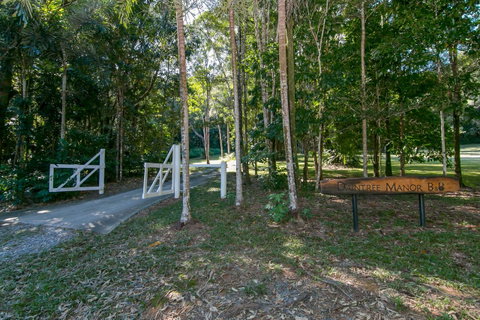Daintree Manor B&B - Kalgoorlie Accommodation 18