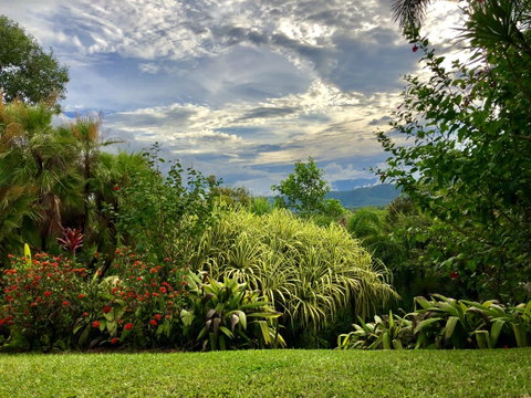 Daintree Manor B&B - Kalgoorlie Accommodation 2