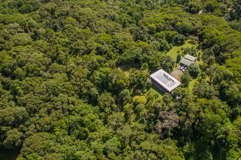 Daintree Manor B&B - Kalgoorlie Accommodation 14