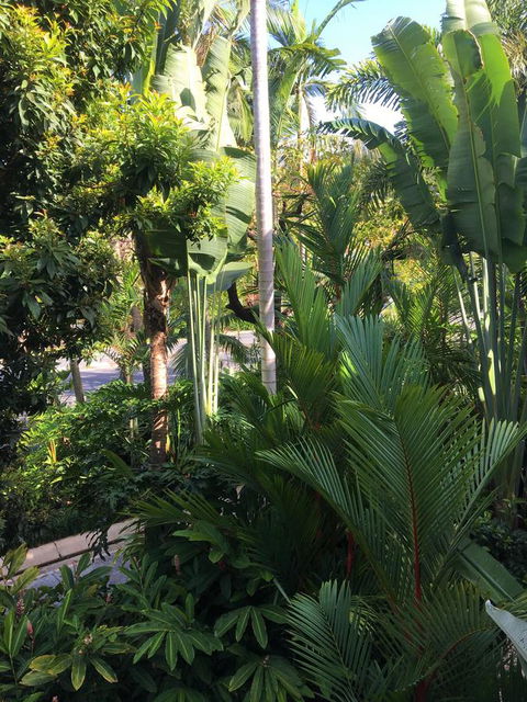 Port Douglas Apartments - Adults Only Oasis - Kalgoorlie Accommodation 1