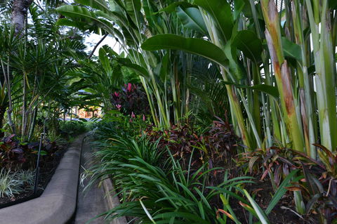 Port Douglas Apartments - Adults Only Oasis - Kalgoorlie Accommodation 9