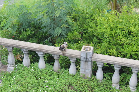 Whitsunday Moorings B&B - Kalgoorlie Accommodation 3