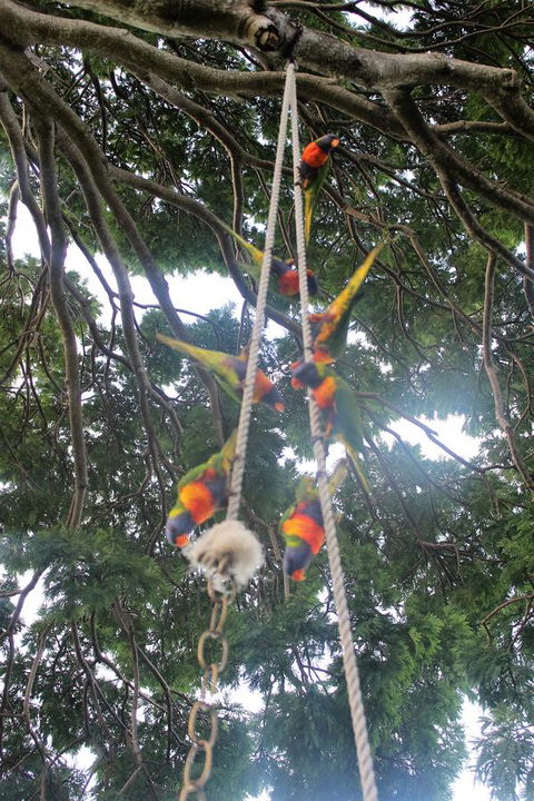 Whitsunday Moorings B&B - Kalgoorlie Accommodation 6