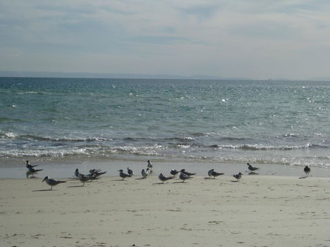 Beachfront Holiday Apartment To Rent For Short And Long Stays - Kalgoorlie Accommodation 30