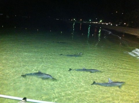 Beachfront Holiday Apartment To Rent For Short And Long Stays - Kalgoorlie Accommodation 29