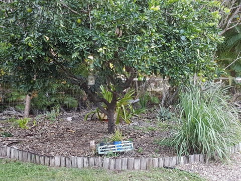 From Bush2Beach Holiday Home - Kalgoorlie Accommodation 42