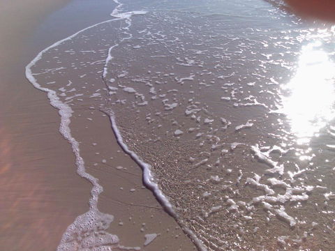 Close To Surf Beach, Surf Club, Hotel And Shops - Boyd St, Woorim - Kalgoorlie Accommodation 10