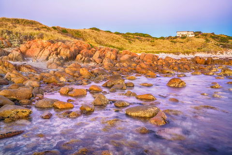 Porky Beach Retreat - King Island Escapes - Kalgoorlie Accommodation 9