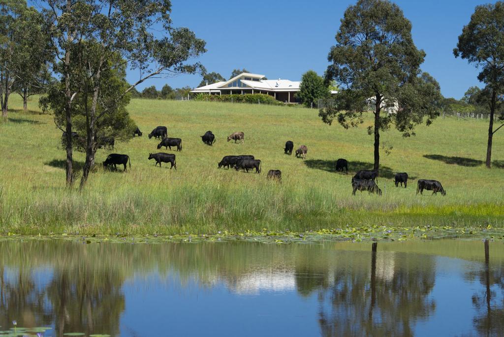 Mungo Brush NSW Kalgoorlie Accommodation