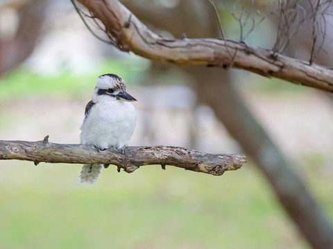 1 'Intrepid', 3 Intrepid Close - Amazing Views Of Shoal Bay, Only 100m From The Beach - Kalgoorlie Accommodation 1