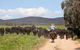 Butmaroo Station - thumb 1