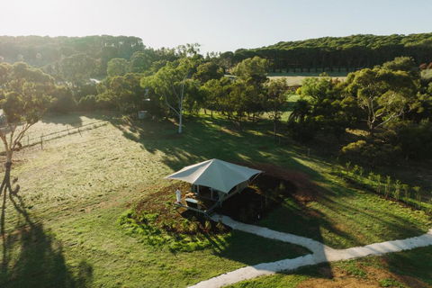 CANVS By CABN Seppeltsfield Barossa - Kalgoorlie Accommodation 0