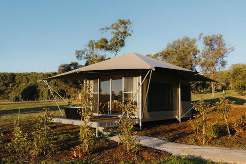 CANVS By CABN Seppeltsfield Barossa - Kalgoorlie Accommodation 3