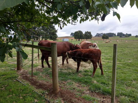 Cradle At Casa Blanca Country Retreat - Kalgoorlie Accommodation 3