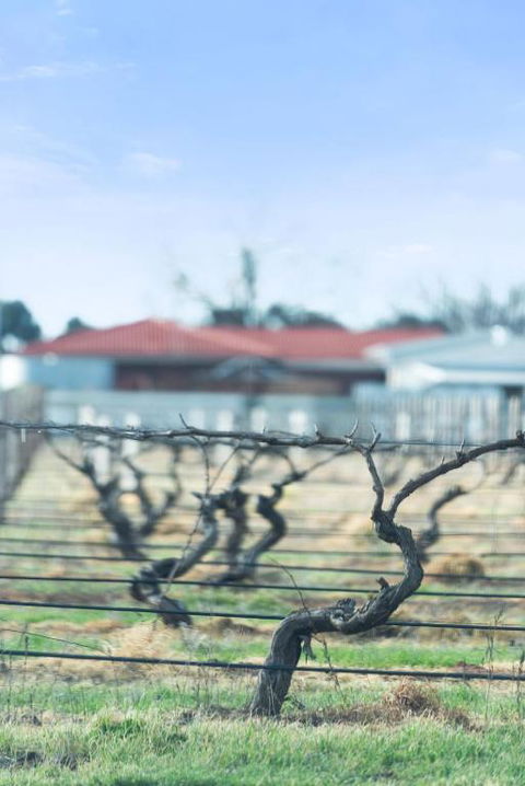 Crimson Ridge - Wines, Vines And Dine - Kalgoorlie Accommodation 1