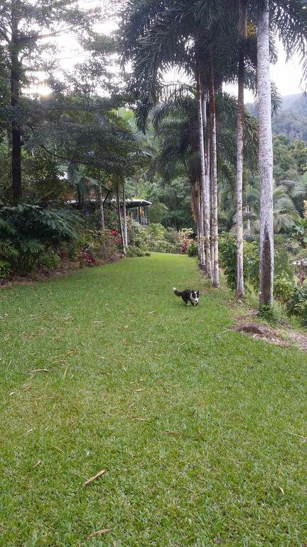 A Daintree Garden - Kalgoorlie Accommodation 1