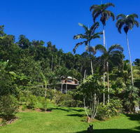 A Daintree Garden - Kalgoorlie Accommodation