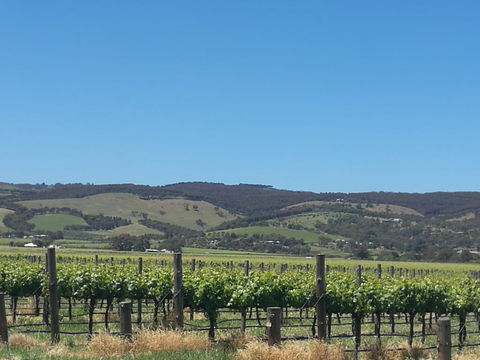 A Victor Harbour Retreat Aldinga Tony's Music Cottage - Kalgoorlie Accommodation 3