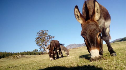 AAA Granary Accommodation - Kalgoorlie Accommodation 2