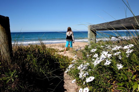 Absolute Beachfront Mollymook - Kalgoorlie Accommodation 3