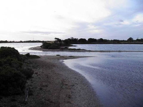 Absolute Waterfront - Kalgoorlie Accommodation 1