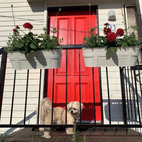 Family And Pet Friendly Home In Brisbane - Kalgoorlie Accommodation 0