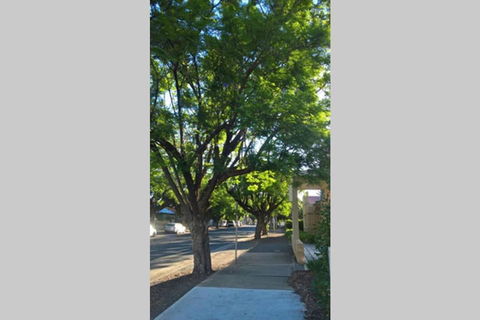 Gawler Heritage Accommodation - Kalgoorlie Accommodation 1