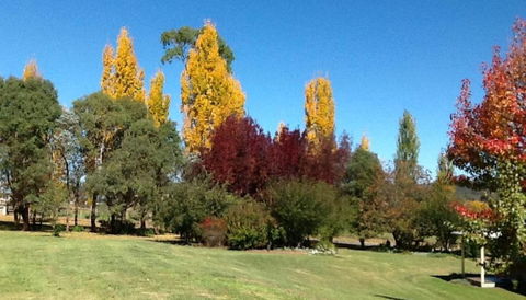 Glen Waverly Farmstay - Kalgoorlie Accommodation 3