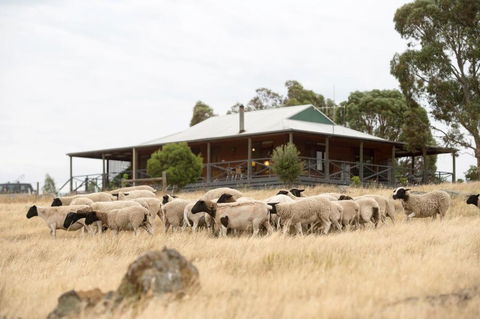 Gilgraves Vineyard Farmstay - Kalgoorlie Accommodation 0