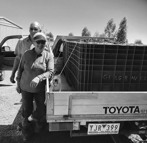 Gilgraves Vineyard Farmstay - Kalgoorlie Accommodation 4