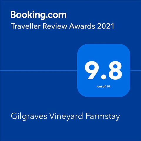Gilgraves Vineyard Farmstay - Kalgoorlie Accommodation 2