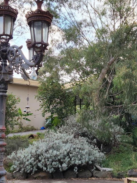 Green Heavan - Kalgoorlie Accommodation 4