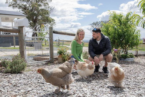 Gumnut Cottage Gippsland - Tiny Romantic Escape W King Bed Mountain Views - Kalgoorlie Accommodation 3