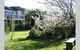 Adrift At Ventnor On Phillip Island, Pets - thumb 3
