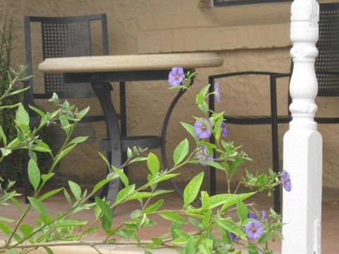 Amalie Cottage Waikerie - Kalgoorlie Accommodation 0