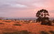 Apollo Panorama Guesthouse - thumb 3