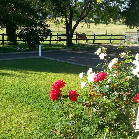 Appin Homestay B & B - Kalgoorlie Accommodation 3