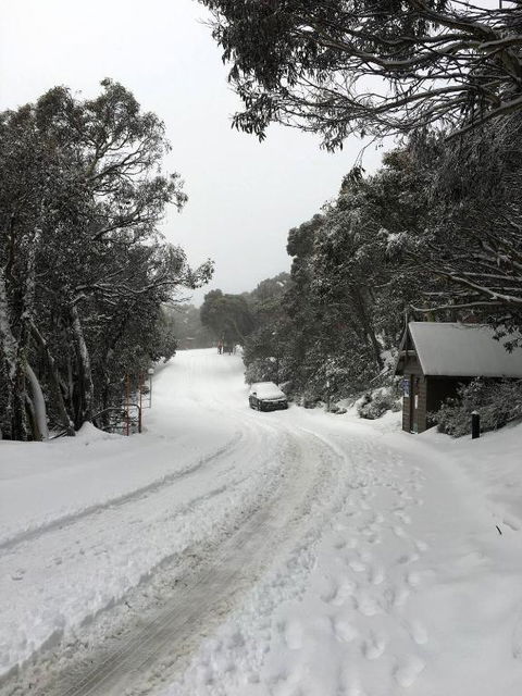 MAGNIFICENT SKIING ON MOUNT BULLER - Kalgoorlie Accommodation 3