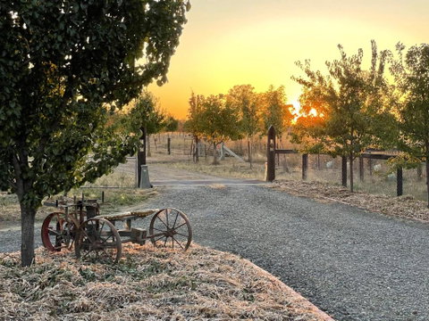 Maple Lane Farm Stay - Kalgoorlie Accommodation 0