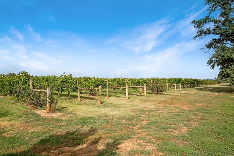 Milawa Vineyard Views - Guesthouse 2 - Kalgoorlie Accommodation 0