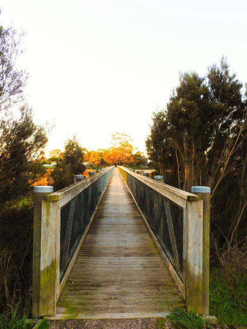 Moomba Holiday And Caravan Park - Kalgoorlie Accommodation 3