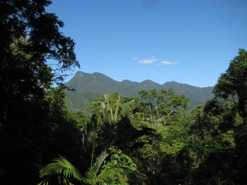 Mossman Gorge Bed And Breakfast - Kalgoorlie Accommodation 0