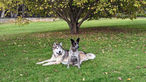 Mountain Culture Farm Stay - Pet Friendly - Kalgoorlie Accommodation 2